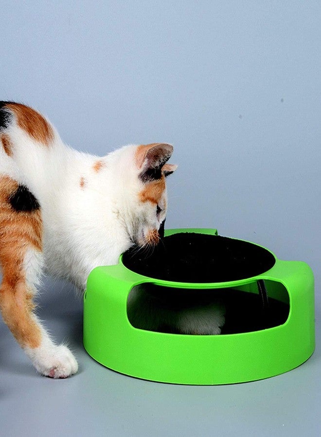 PETLICIOUS & MORE أفضل الألعاب التفاعلية للقطط من بيتليشوس آند مور - فأر متحرك/فئران ولوحة خدش، لعبة اصطياد الفأر، نعناع بري، لعبة خدش للقطط بالنعناع البري - Image 3